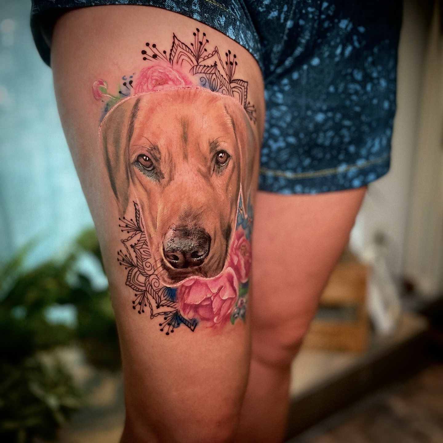 Realistischer Hund mit Mandala — buntes Tattoo von Pia Insel