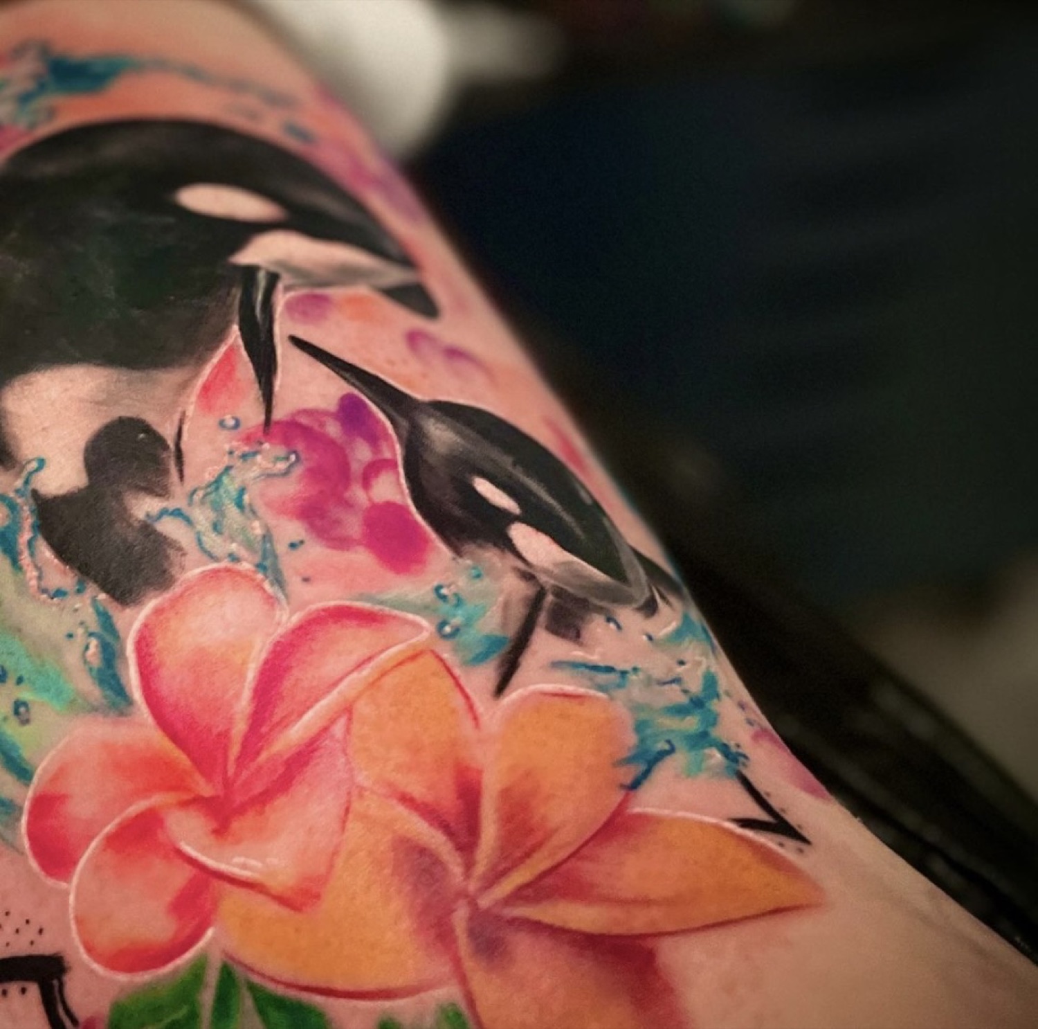 Frangipani-Blüten am Arm — buntes Tattoo von Pia Insel