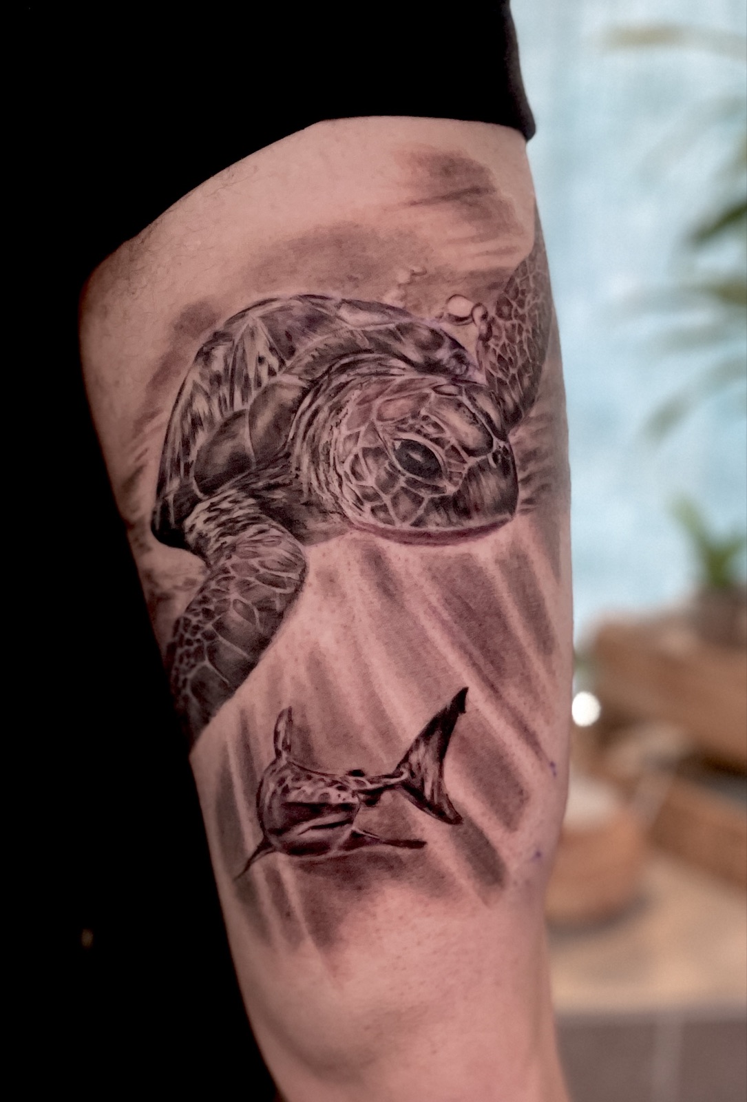 Schildkröte — schwarz-weiß Tattoo von Pia Insel